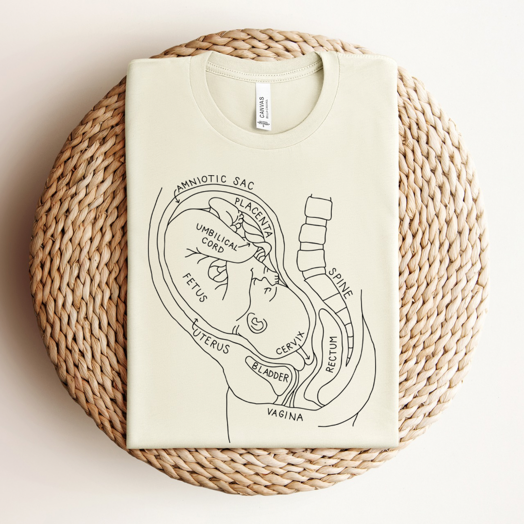 Pregnancy Anatomy Tee